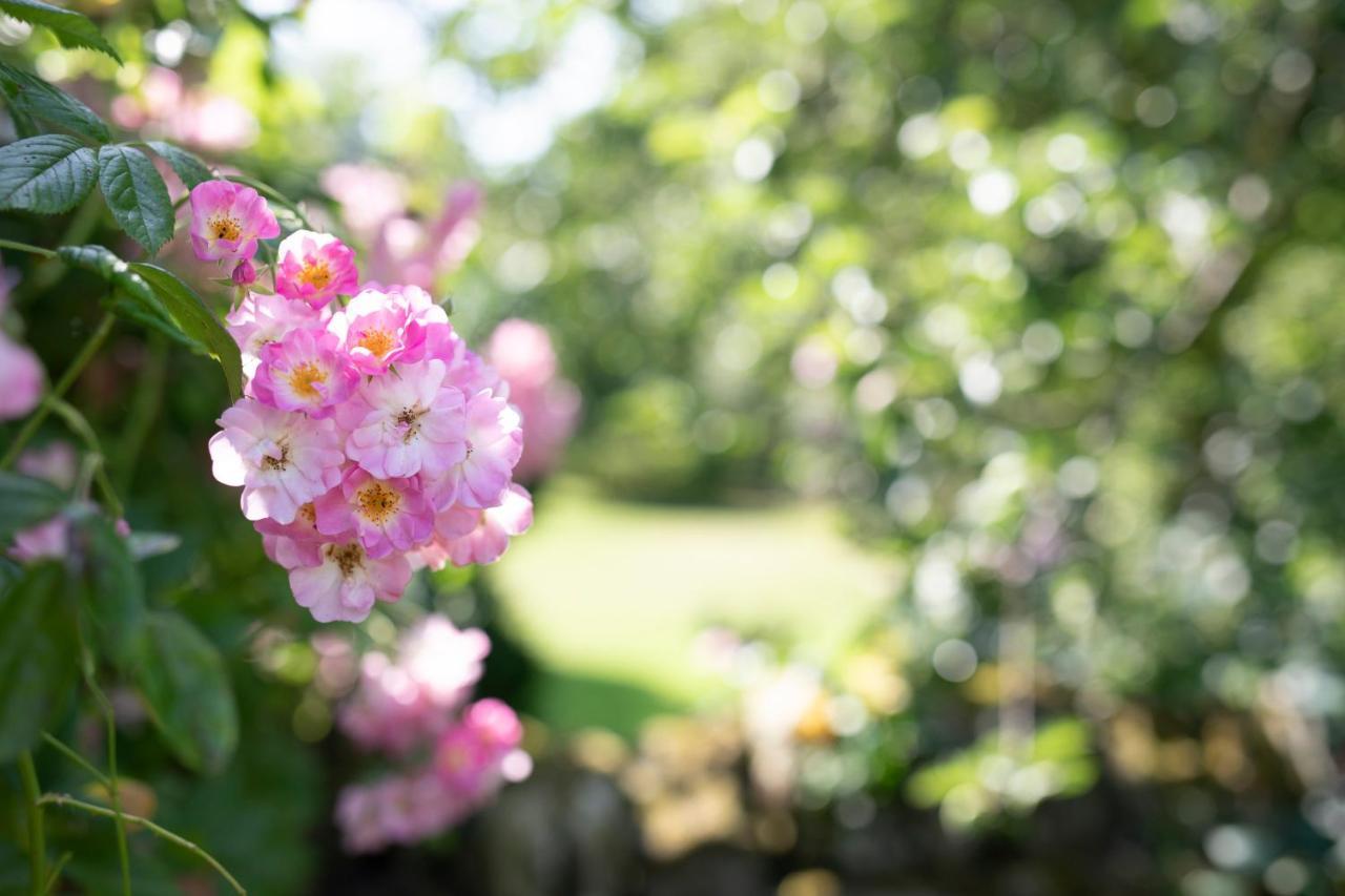 West Cottage, Southlands Farm, Gunnerton เฮกแซม ภายนอก รูปภาพ