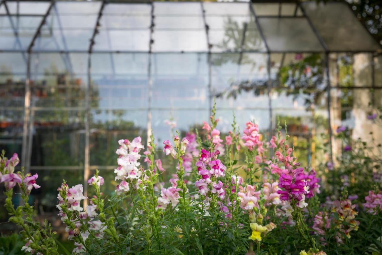 West Cottage, Southlands Farm, Gunnerton เฮกแซม ภายนอก รูปภาพ