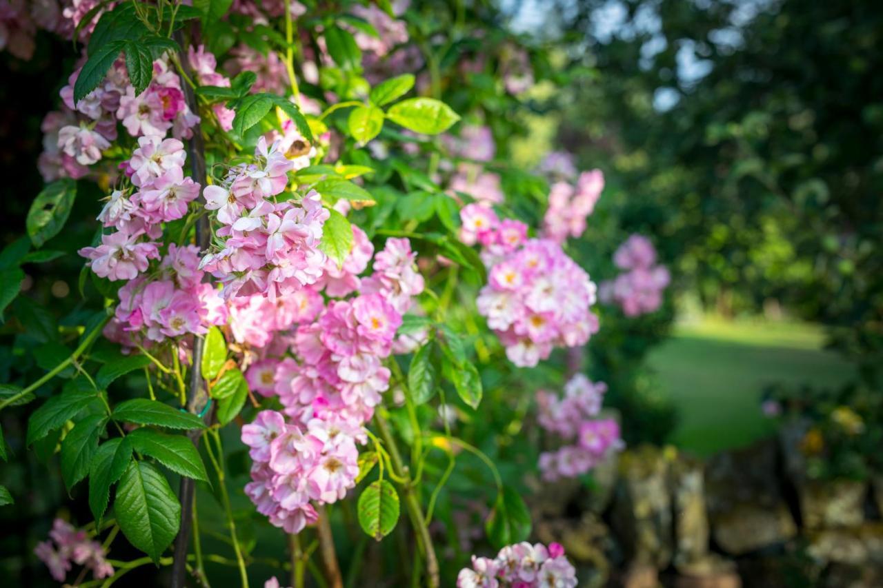 West Cottage, Southlands Farm, Gunnerton เฮกแซม ภายนอก รูปภาพ